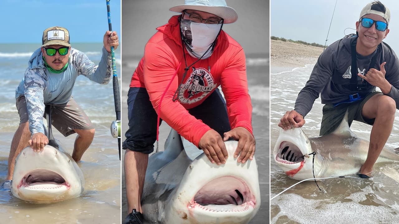 Después de capturar a los tiburones, los hispanos se aseguran de que regresan al agua a salvo. López cuenta que es una gran experiencia la que viven.