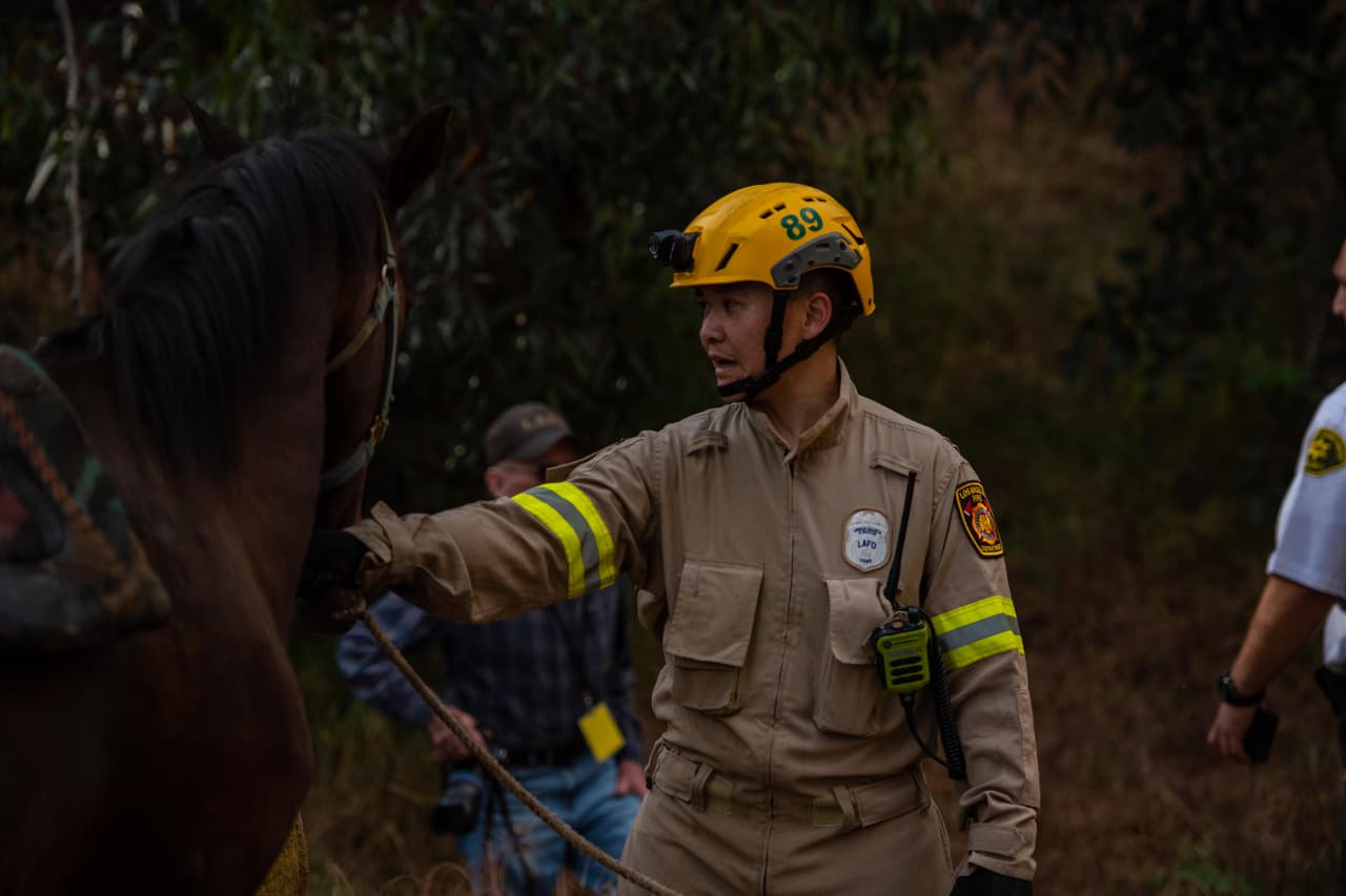 El caballo de Sylmar, ciudad del norte de Los Ángeles, fue mantenido bajo observación de los expertos.