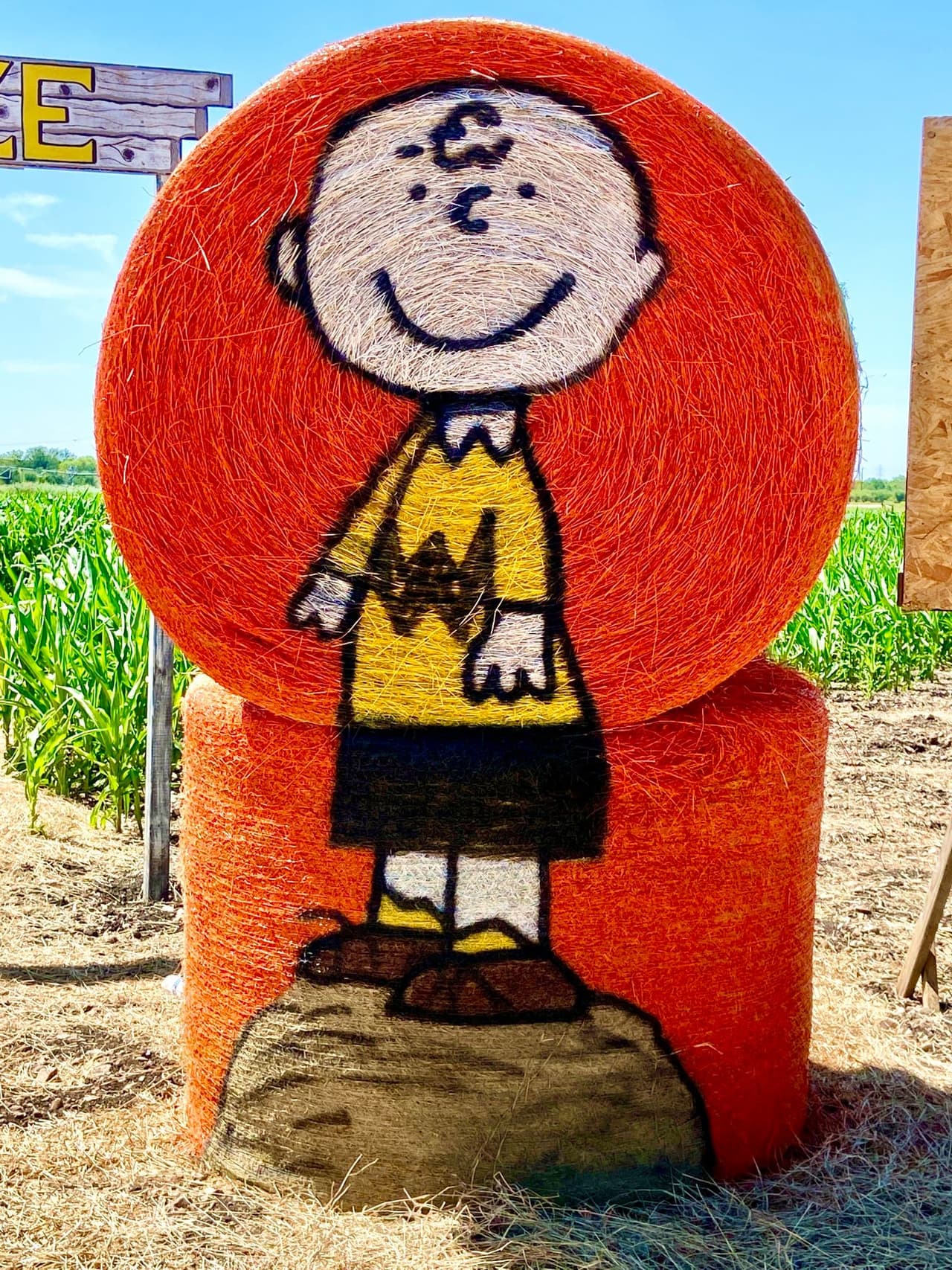 Un laberinto de maíz de 10 acres abre este fin de semana en San Antonio.