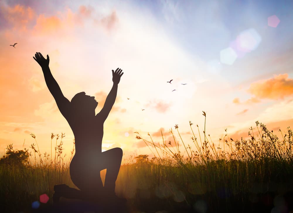 <b>Tus herramientas para aprovechar tu buen karma</b>: Tu dedicación y servicio, tu capacidad analítica, tu discreción.