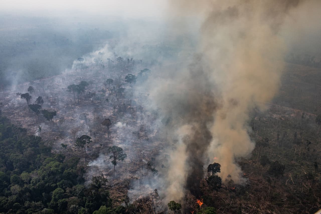 La densa jungla amazónica absorbe una gran cantidad del dióxido de carbono producido en todo el mundo, un gas de efecto invernadero que se cree que es el factor más importante en el cambio climático. La imagen aérea muestra las llamas consumiendo la selva cerca de Porto Velho, Brasil. Los expertos aseguran que preservar esta selva es vital para combatir el calentamiento global.