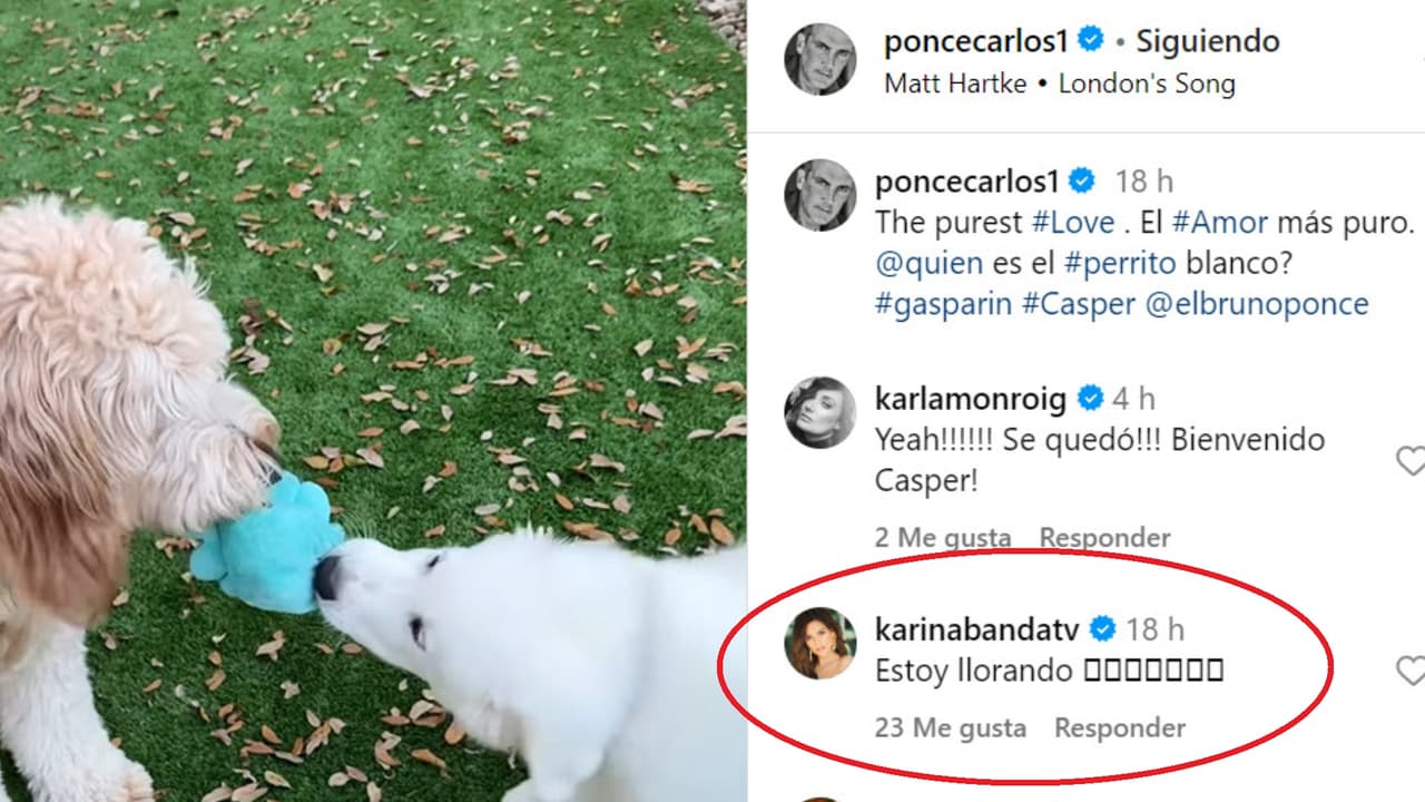 Karina Banda así reaccionó ante la bienvenida de Casper, el nuevo integrante de su familia.