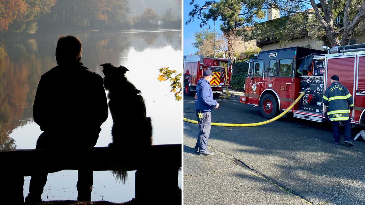 Un hombre y su perro mueren en incendio: víctima habría tratado de rescatar a mascota en Vallejo