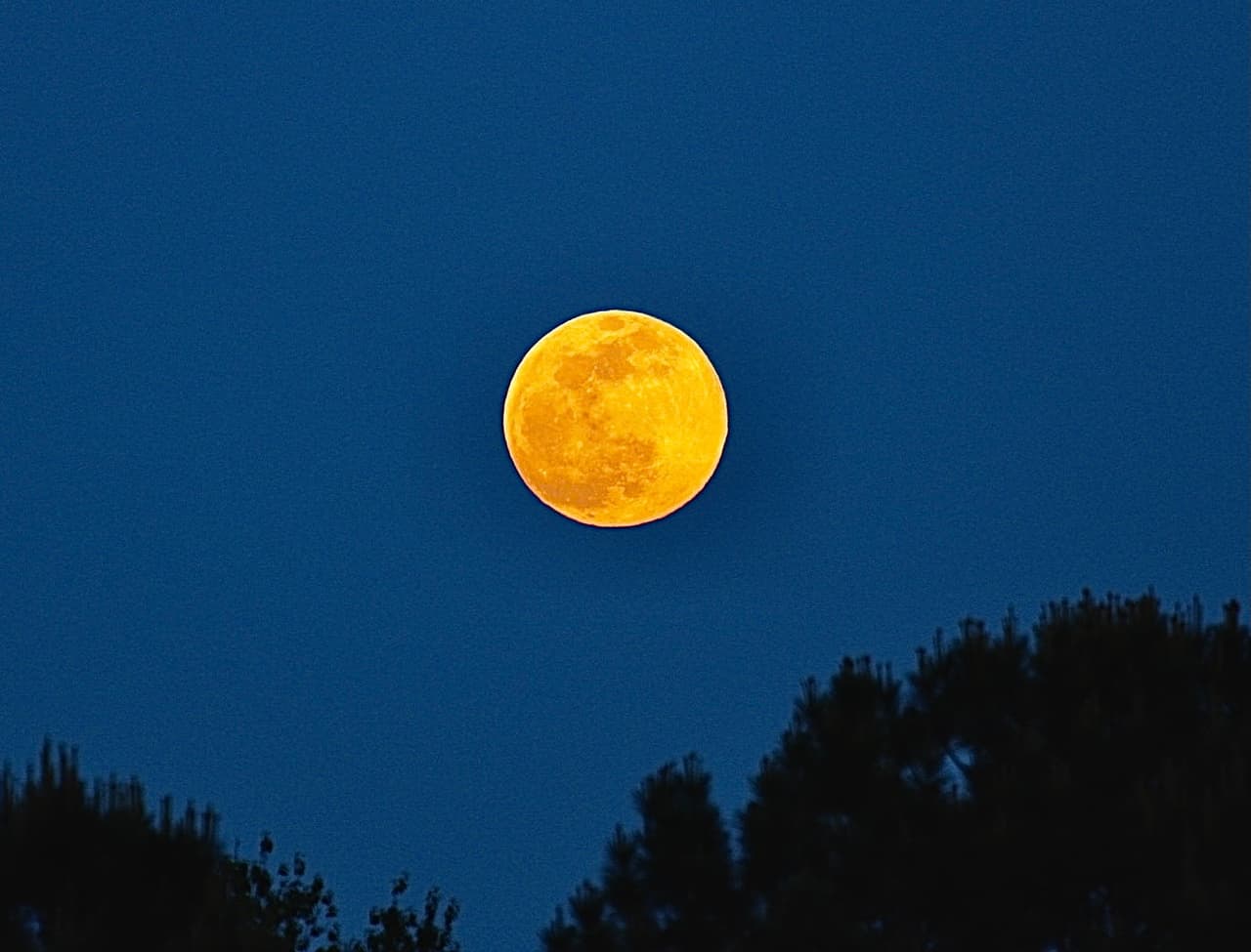 Según la NASA, esta superluna se llama rosa no porque alcanza una tonalidad de ese color. Recibe este nombre por la hierba rosada conocida como phlox de montaña, una de las primeras flores primaverales que se pueden observar en EEUU.