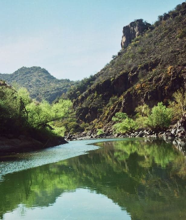Esta área natural protegida se encuentra entre los municipios de Guerrero, Bocoyna y Témosachi. Tiene 222,767.85 hectáreas. Fue categorizada como área protegida el 26 de diciembre de 2012.
<br>
<br>Papigochic tiene características geográficas que le permiten ser un refugio de importantes especies como el oso negro, el águila real, la trucha aparique, la cotorra serrana, el pinabete espinoso y fue hábitat del lobo mexicano.