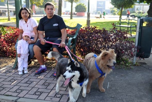 La Asociación Mascotas Terapéuticas fue fundada desde hace ocho años, con el objetivo de llevar alegría a personas con enfermedades terminales.