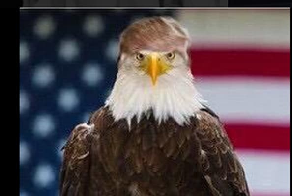 Si alguna vez te provocó curiosidad, ¿qué pasaría si Donald Trump fuera presidente? Estos memes te dan las respuestas.