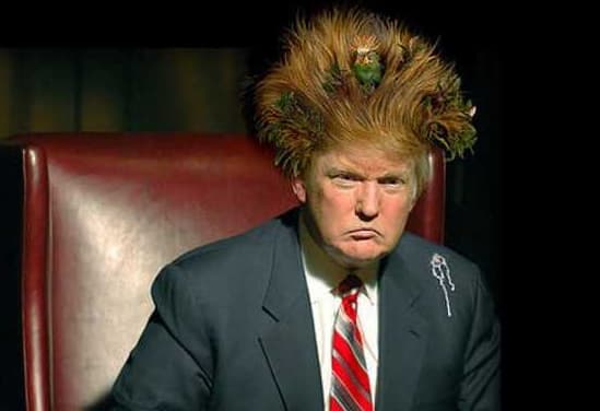 Si alguna vez te provocó curiosidad, ¿qué pasaría si Donald Trump fuera presidente? Estos memes te dan las respuestas.