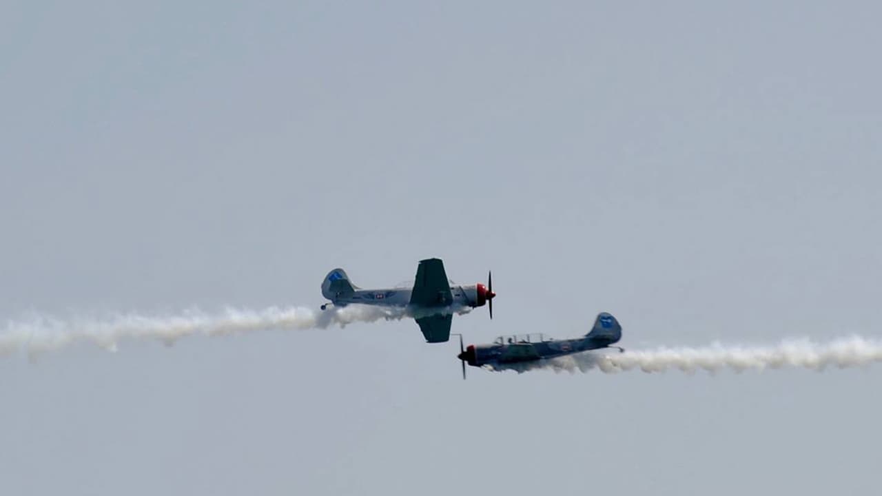 <b>¿Cuál es el mejor lugar para ver el espectáculo?</b>
<br>El punto central para observar los aviones y demostraciones acuáticas es North Avenue Beach. Sin embargo, otras opciones son Ohio Street Beach y el frente del lago desde Fullerton Avenue hasta Oak Street Beach.