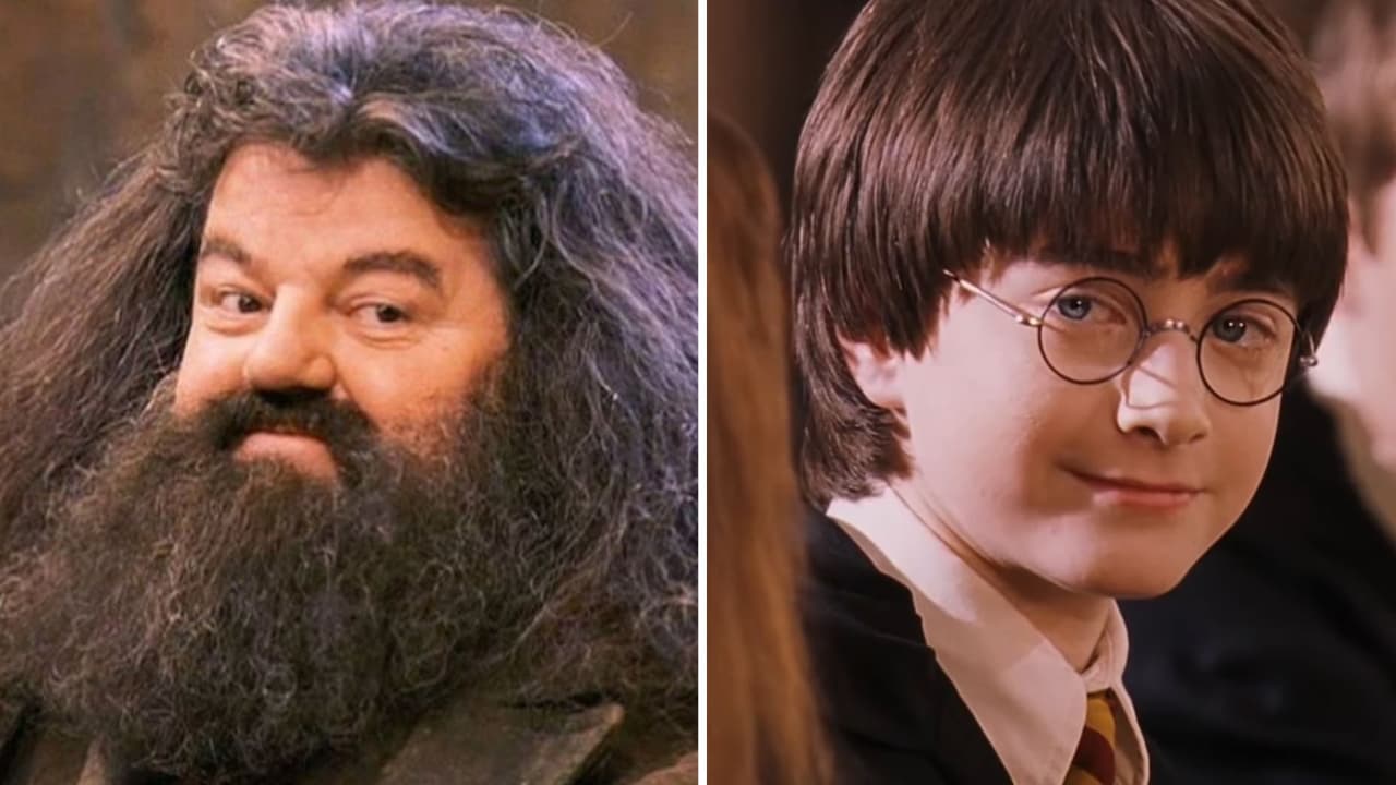 Ni Sirius ni Dumbledore, Hagrid fue un gran padre para Harry y tenemos las pruebas