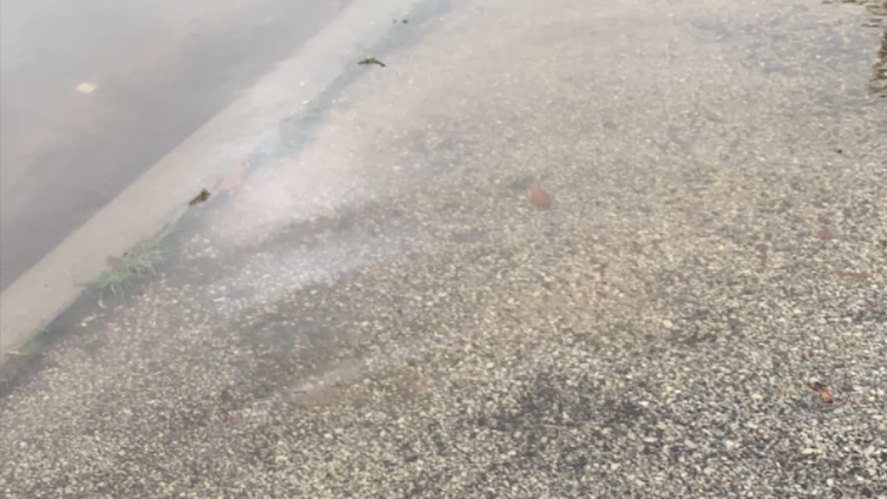 "El agua sigue subiendo en Scarsdale y Astoria! Roguemos a Dios que no sea otro Harvey" Ana y Arturo Luna.