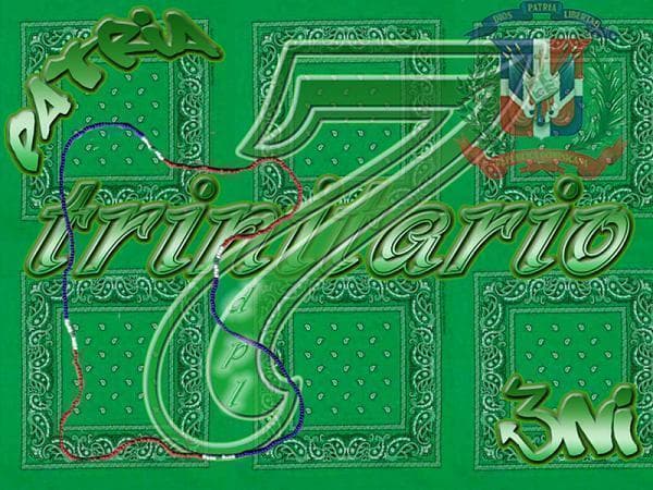 <b>Los Trinitarios. </b>Surgieron en la prisión Rikers Island de Nueva York en 1989, cuando los presos dominicanos se unieron para protegerse de los ataques de los demás reclusos. Se expandieron por todo el sistema de prisiones y fuera de la cárcel en Upper Manhattan y el Bronx. Es considerada la pandilla dominicana más grande del país y controlan zonas muy localizadas en Delaware, Maryland, Rhode Island, Alaska, Carolina del Norte, Ohio, Pennsylvania, Connecticut, Florida, Massachusetts, New Hampshire, Virginia, Illinois y Nueva York, y tienen miembros en Sudamérica, el Caribe y Europa. Se identifican con los machetes, 
<a href="https://www.univision.com/nueva-york/wxtv/noticias/actividad-de-pandillas/quienes-son-los-trinitarios-la-banda-que-mato-a-machetazos-a-un-joven-dominicano-por-error">las armas que utilizan en sus ataques</a>. Su color es el verde y sus delitos incluyen el narcotráfico, asalto, robo, invasiones a domicilio, secuestro, robo de automóviles y asesinato.