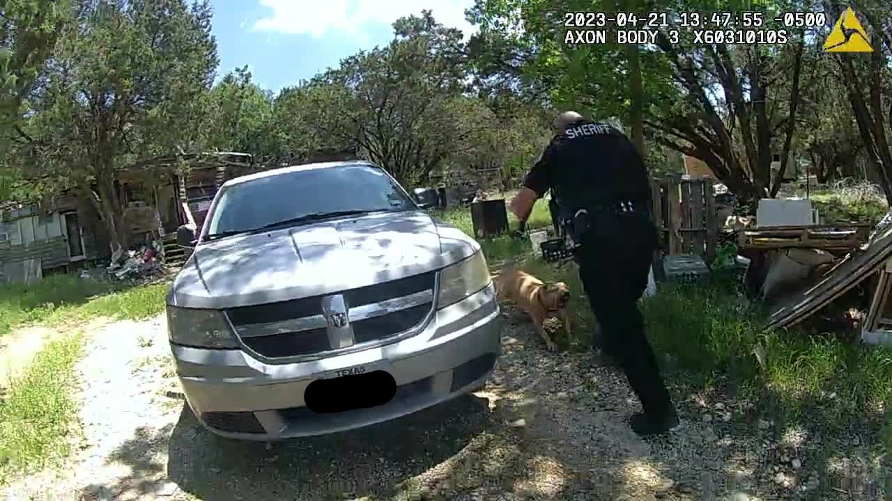 La reacción del aguacil fue sacar su pistola y dispararle una vez al perro para protegerse, a otro agente que estaba con él y un representante de Servicios de Protección a Menores (CPS), quienes fueron los que llamaron a BCSO para asistir en el chequeo de bienestar.