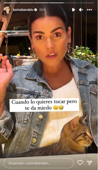 La esposa de Carlos Ponce es amante de los animales, razón por la que intentó tocar al gatito. Aunque estaba lista para hacerlo, a decir por el texto con el que acompañó una segunda imagen, parece que su miedo lo impidió.