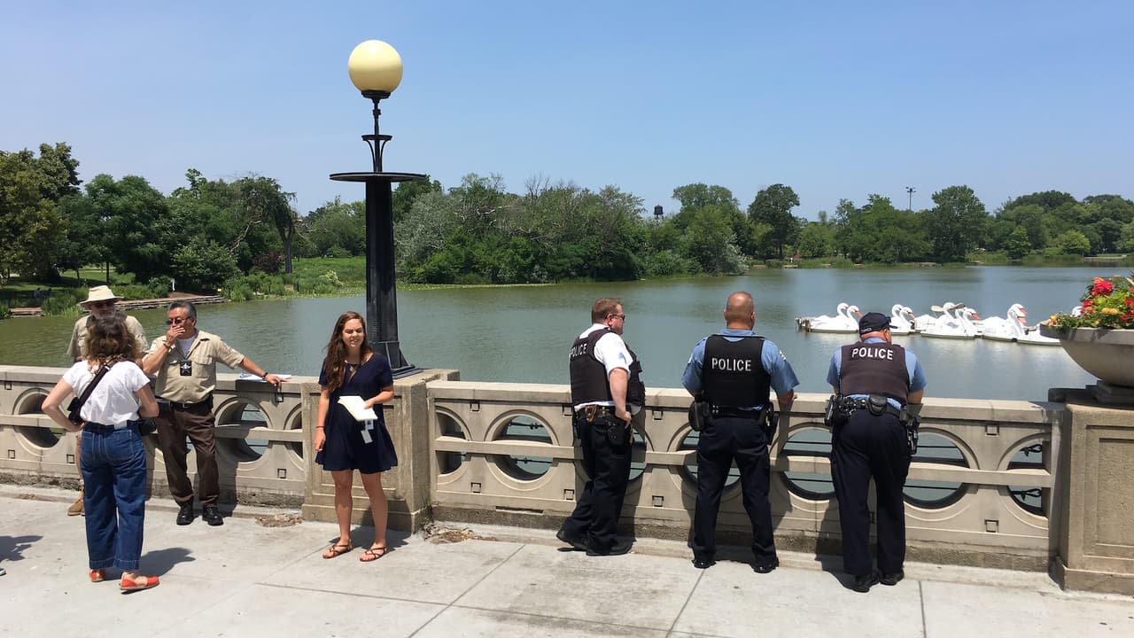 Autoridades de Chicago buscan a un cocodrilo, supuestamente visto por testigos en esta laguna de Humboldt Park.