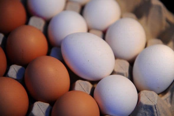 En dos fechas diferentes, destaca Milenio, el empresario Jorge García de la Cadena envió a la Residencia Oficial de Los Pinos dos cajas de huevo.