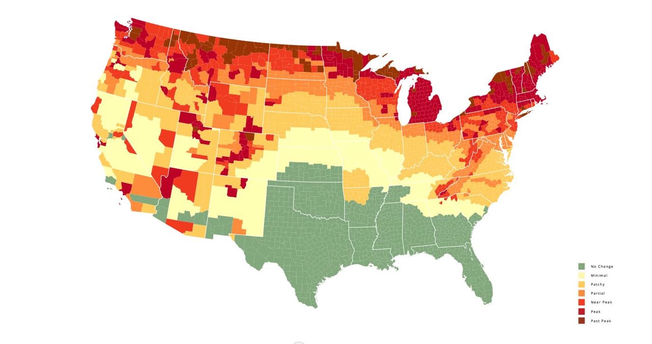 <b>Semana del 10 de octubre</b>. La mayor parte del estado se acerca al punto máximo del cambio de color.
