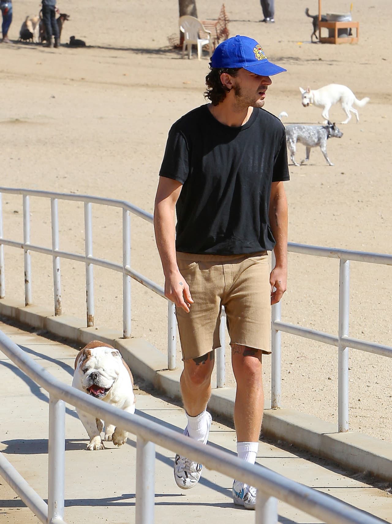 Se nota que es un perrito muy obediente.