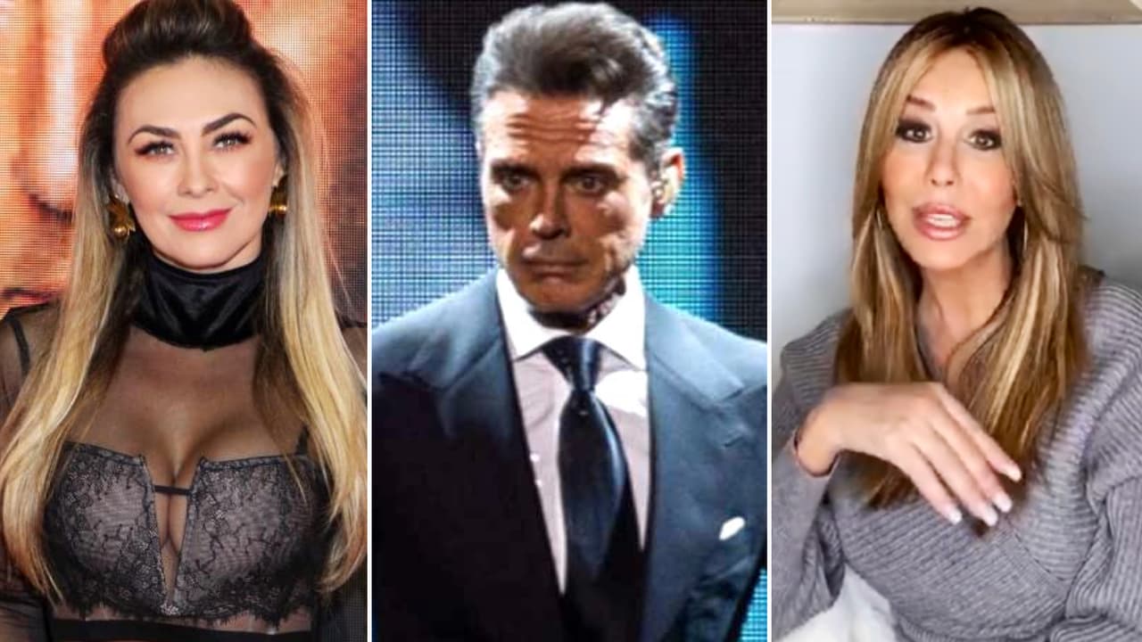 Aracely Arámbula no se queda callada y envía indirecta a Myrka Dellanos por defender a Luis Miguel