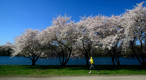 El Fairmount Parkis es el parque más grande de Filadelfia.