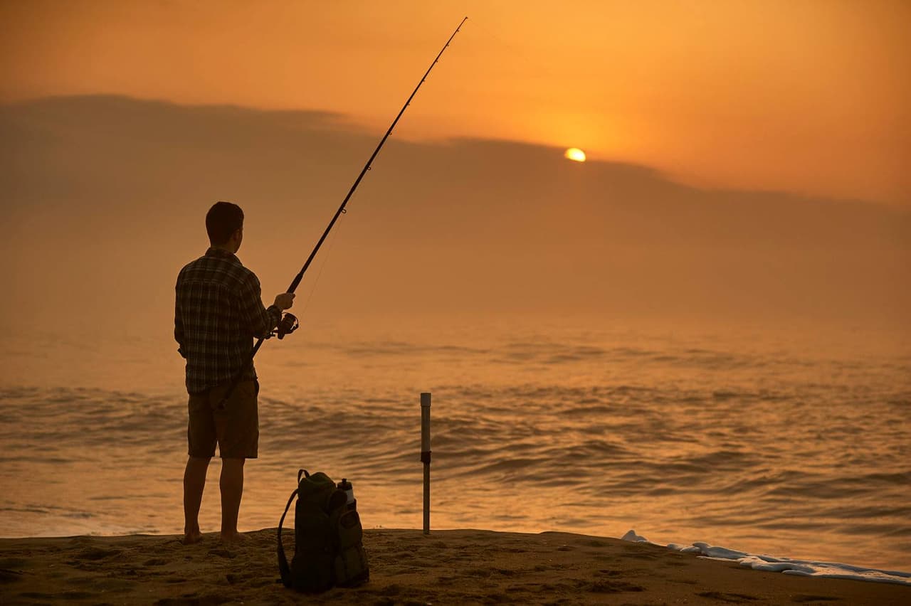 <b>The Cape Hatteras National Seashore </b>
<br>Dirección: 1401 National Park Dr. Manteo, NC. 27954
<br>Sitio web: 
<a href="https://www.nps.gov/caha/index.htm">https://www.nps.gov/caha/index.htm</a> 
<br>
<b><a href="https://goo.gl/maps/HaF7fDB8gwWx6qtJ8?coh=178573&entry=tt">Cómo llegar</a></b>
<br>
<br>La costa nacional de Cape Hatteras en Manteo, ofrece una amplia variedad de oportunidades de pesca entre las olas del Océano Atlántico, el sonido, en alta mar en la Corriente del Golfo y en los muchos estanques de agua dulce que se encuentran en el área. Debido a esto, puedes capturar muchos tipos diferentes de peces, aunque todos los pescadores deben comprar una licencia de pesca recreativa costera, sin importar dónde decidan pescar.