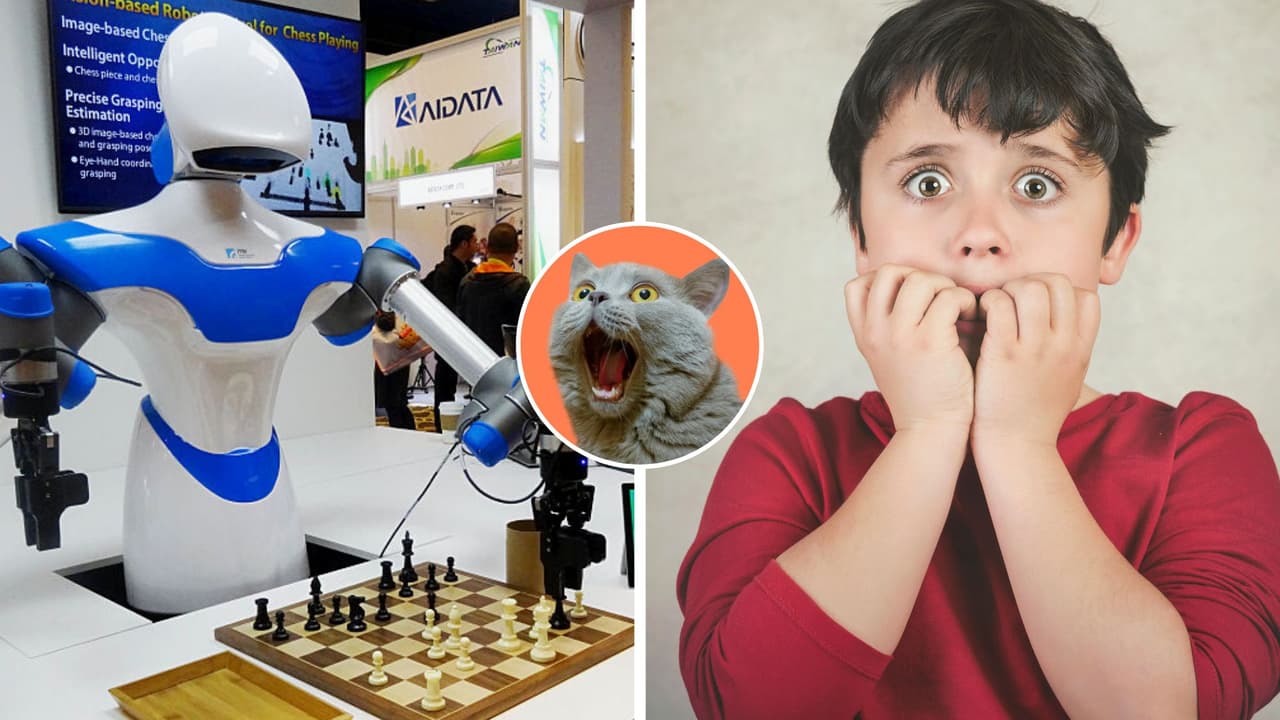 Niño termina con dedo roto al jugar ajedrez con un robot: ¿La "rebelión de las máquinas" llegó?