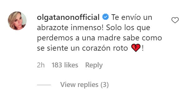 "¡Te envío un abrazote inmenso! Solo los que perdemos a una madre sabemos cómo se siente un corazón roto". 
<br>