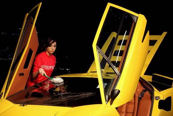 Algunos son tan exclusivos que requieren de un cuidado muy especial.