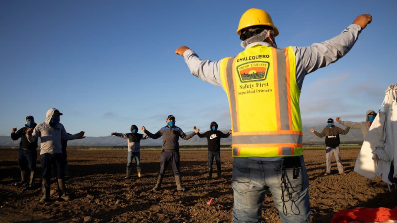 'Ley Antiinmigrante': ¿Qué hacer si un agente estatal se presenta en tu trabajo?