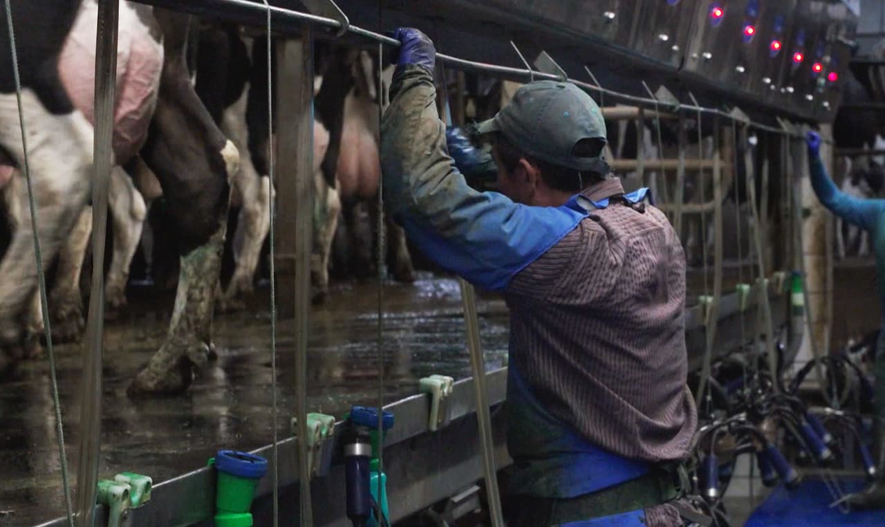 Miedo al país de Trump: tres historias de inmigrantes hispanos en los campos de Wisconsin