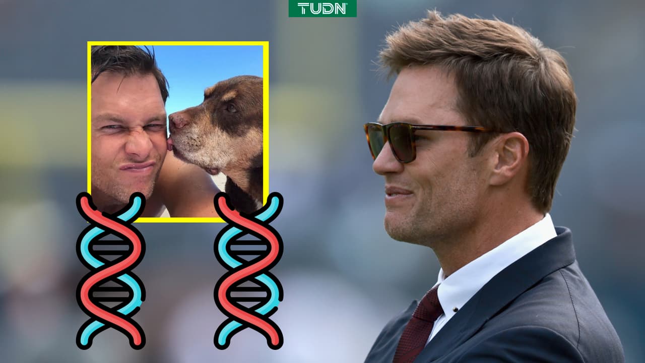 ¡Increíble! Brady revela que su perro es un clon