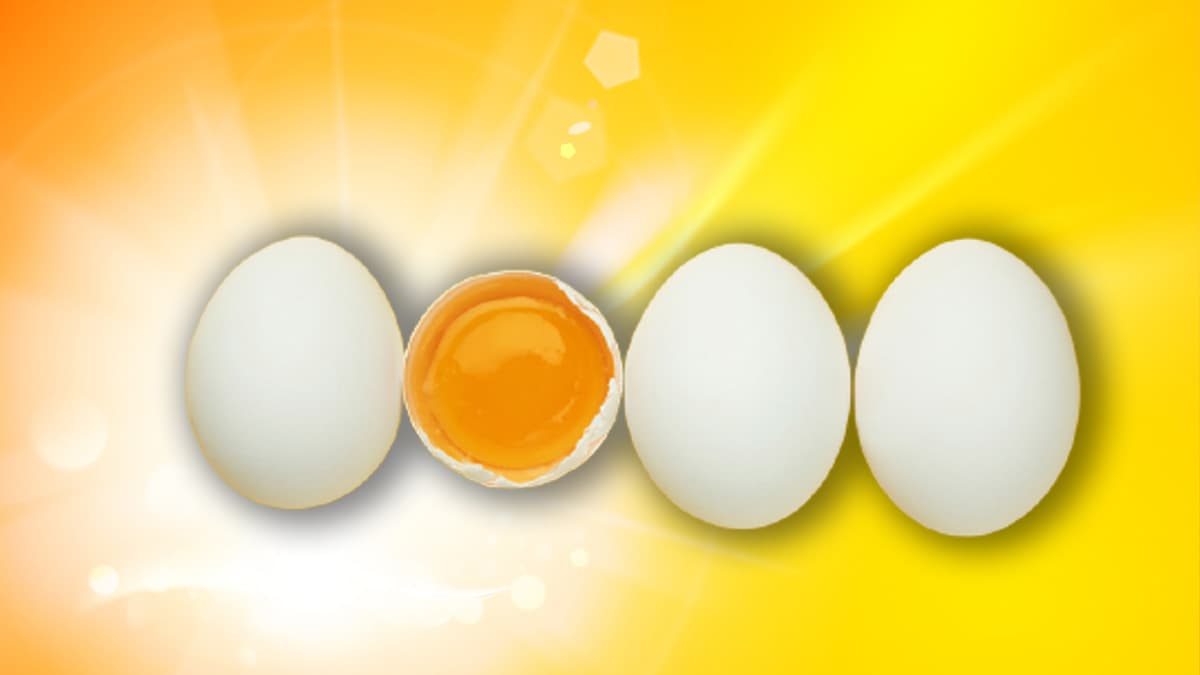 Todos sabemos que las malas energías nos pueden afectar a todos los niveles, pero hay personas que no sólo se complacen con tirarnos su mala vibra sino van un paso más allá echándonos alguna maldición, hechizo o el tan conocido "mal de ojo".