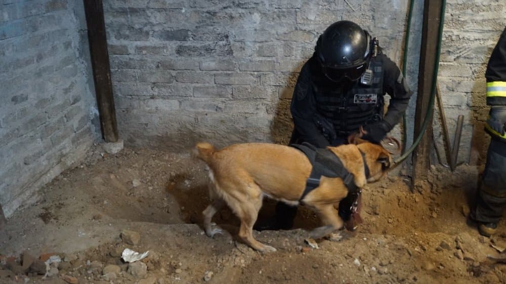 Las autoridades aprovecharon la ayuda del departamento de bomberos de la entidad, antropólogos, arqueólogos forenses, genetistas, peritos en criminalística, odontología,
<a href="https://www.univision.com/temas/medicina">medicina</a> y fotografía, además de binomios caninos para indagar en la vivienda. Gracias a eso, pudieron encontrar ropa de mujer, identificaciones oficiales y otros elementos que hacen suponer que Andrés "N",
<b>considerado un buen vecino, es en realidad un feminicida serial. </b>
<br>
<br>