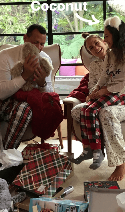 Alex Rodríguez hizo reir a Emme y a su novia hace un año.