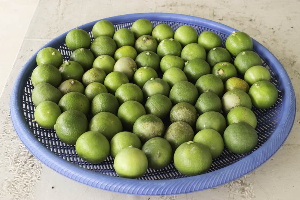 Hay quienes, para atraer prosperidad a su vida, ponen en un plato unos nueve limones sobre una cama de granos de arroz blanco. Sobre todo si lo pones encima de tu refrigerador, puede tener gran efecto.