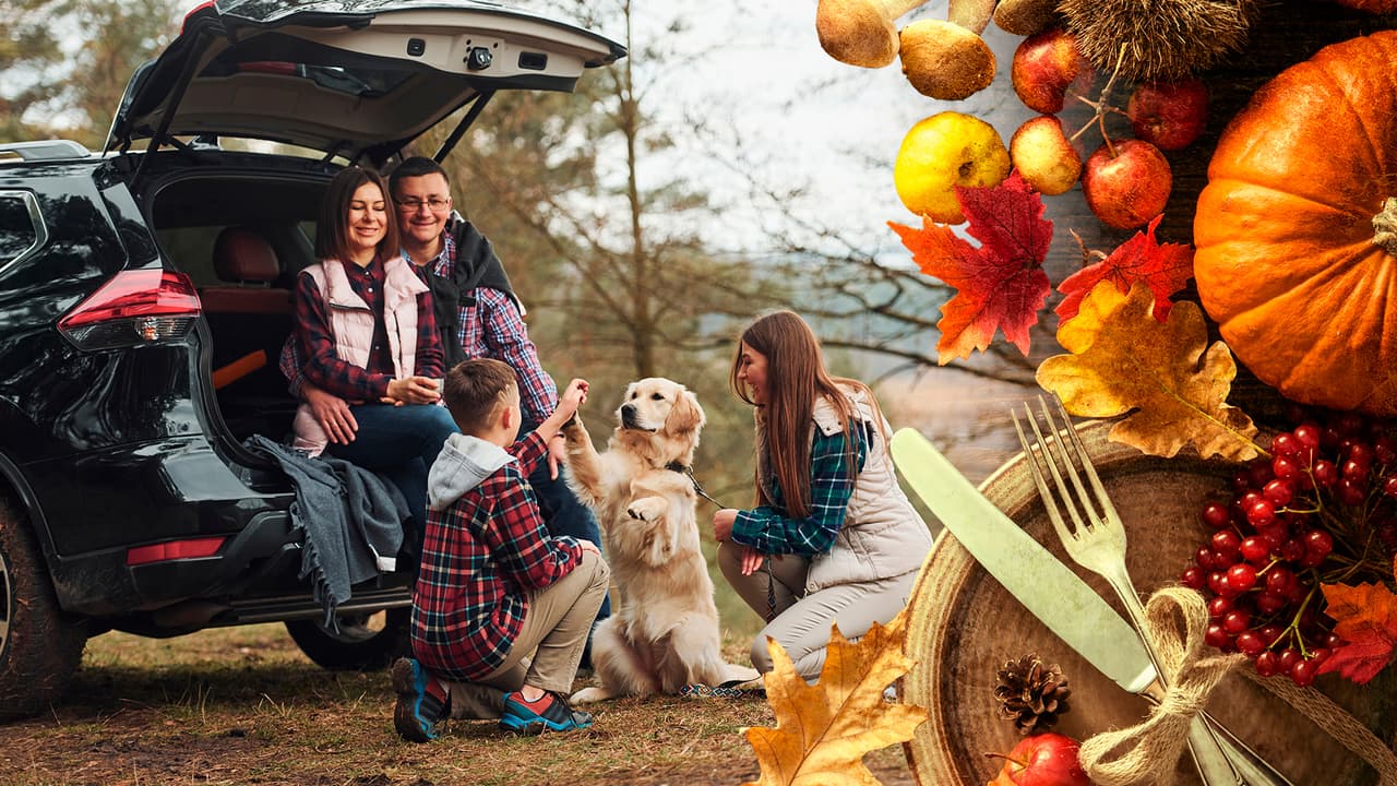Para muchos, las fechas cercanas a Thanksgiving (25 de noviembre) son sinónimo de viajes, ya que aprovechan el fin de semana largo y el buen clima para visitar otras ciudades o estados. Y aunque cada vez son más las personas que deciden volver a viajar por avión, hay quienes todavía prefieren hacerlo por carretera para evitar los espacios cerrados en momentos en que aún se sienten los efectos de la pandemia.