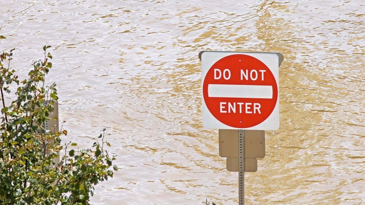 Aléjate de los puentes sobre aguas rápidas. El agua que se mueve rápidamente puede arrastrar los puentes sin previo aviso.