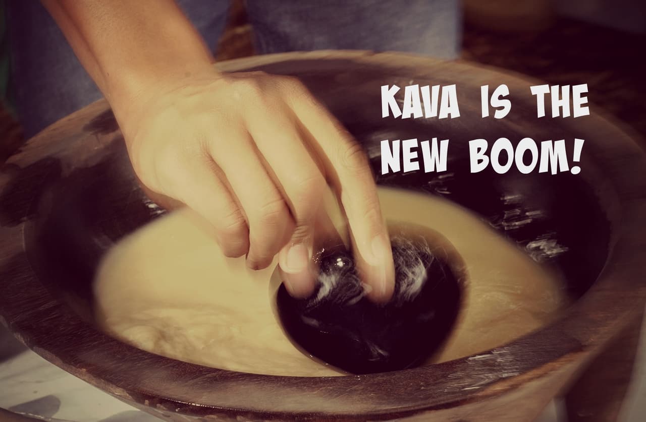 Bebida hecha a base de raíz de kava.