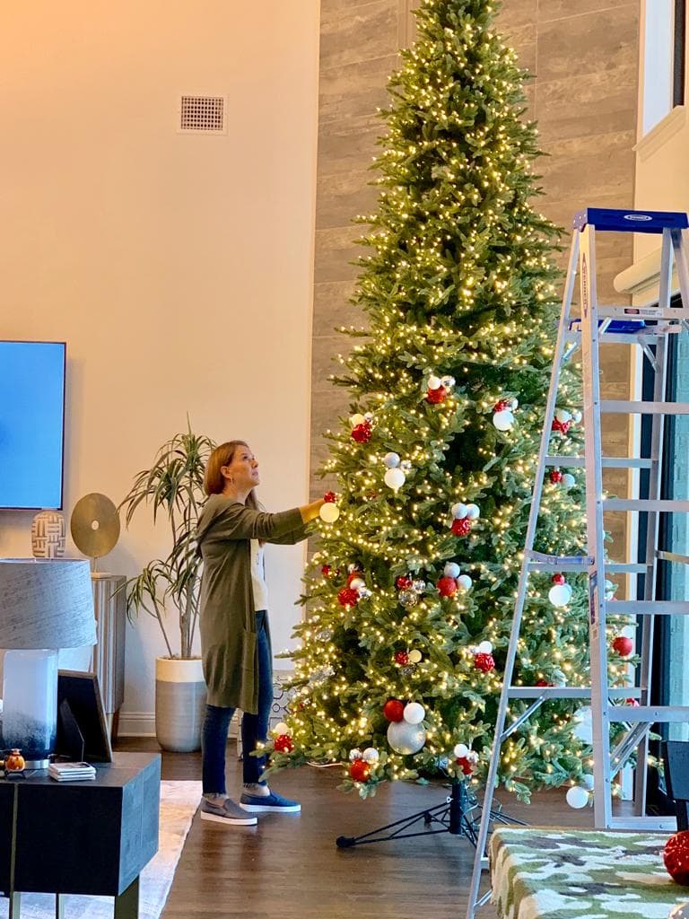 Carmen Vidales es originaria de Monterrey, México y emprendió en la pandemia su 
<a href="https://www.univision.com/shows/el-gordo-y-la-flaca/las-encantadoras-imagenes-de-jlo-a-rod-y-sus-hijos-con-el-espiritu-navideno-mientras-decoran-el-arbol-en-casa-video">negocio de decoración de árboles navideños</a>, que es un éxito en Dallas.