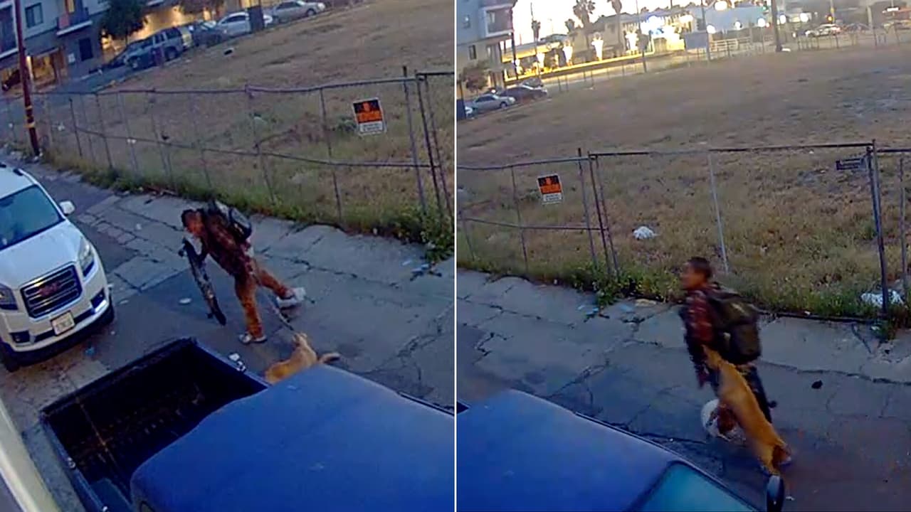 Maltrato animal: hombre arrastra y golpea a un perro en Long Beach; PETA ofrece recompensa para identificarlo
