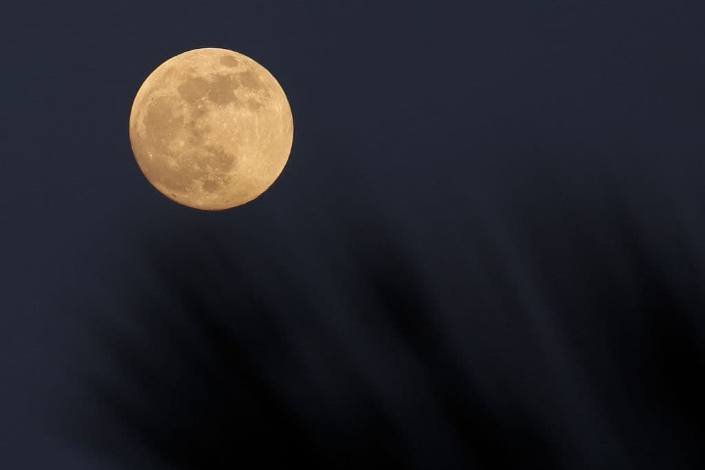 <b>Super luna:</b> El fenómeno llamado
<a href="https://ciencia.nasa.gov/%C2%BFqu%C3%A9-es-una-superluna" target="_blank">supermoon o superluna</a> es cuando el satélite natural de la tierra, la luna, está en el punto más cercano a nuestro planeta al mismo tiempo que está en su fase de luna llena. La luna gira en una órbita alrededor de la tierra y cada mes está en el punto
<a href="https://ciencia.nasa.gov/%C2%BFqu%C3%A9-es-una-superluna" target="_blank">“perigeo”</a>, el más cercano al planeta.