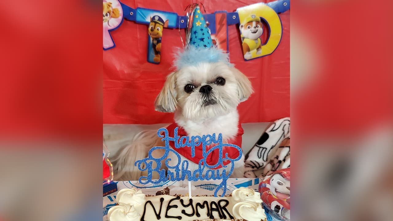 <b>Citlali Valdez</b>: Su fiesta de cumpleaños númeto 7.