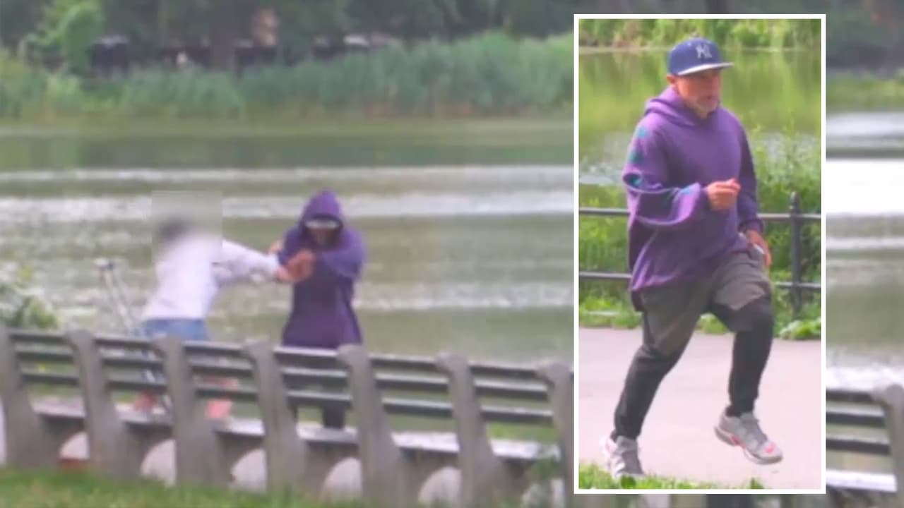Roban y golpean a una mujer sentada en una banca en Central Park