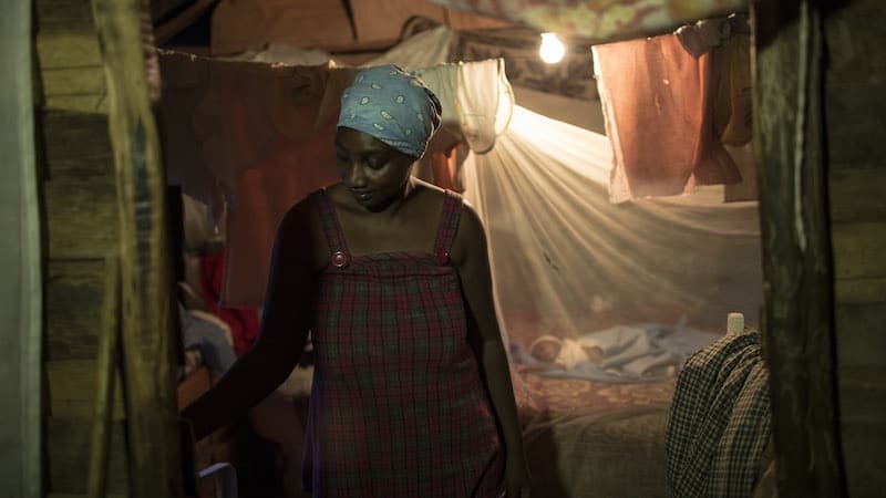 Llega al festival de cine de Miami la historia de deforestación en la frontera de Haití oculta tras el asesinato de un guadaparques dominicano 