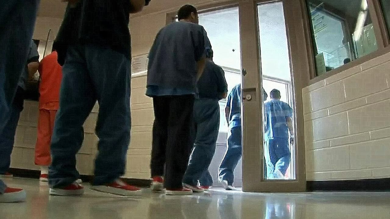 "Hay una crisis de los derechos humanos": Amnistía Internacional reporta muertes en custodia de ICE
