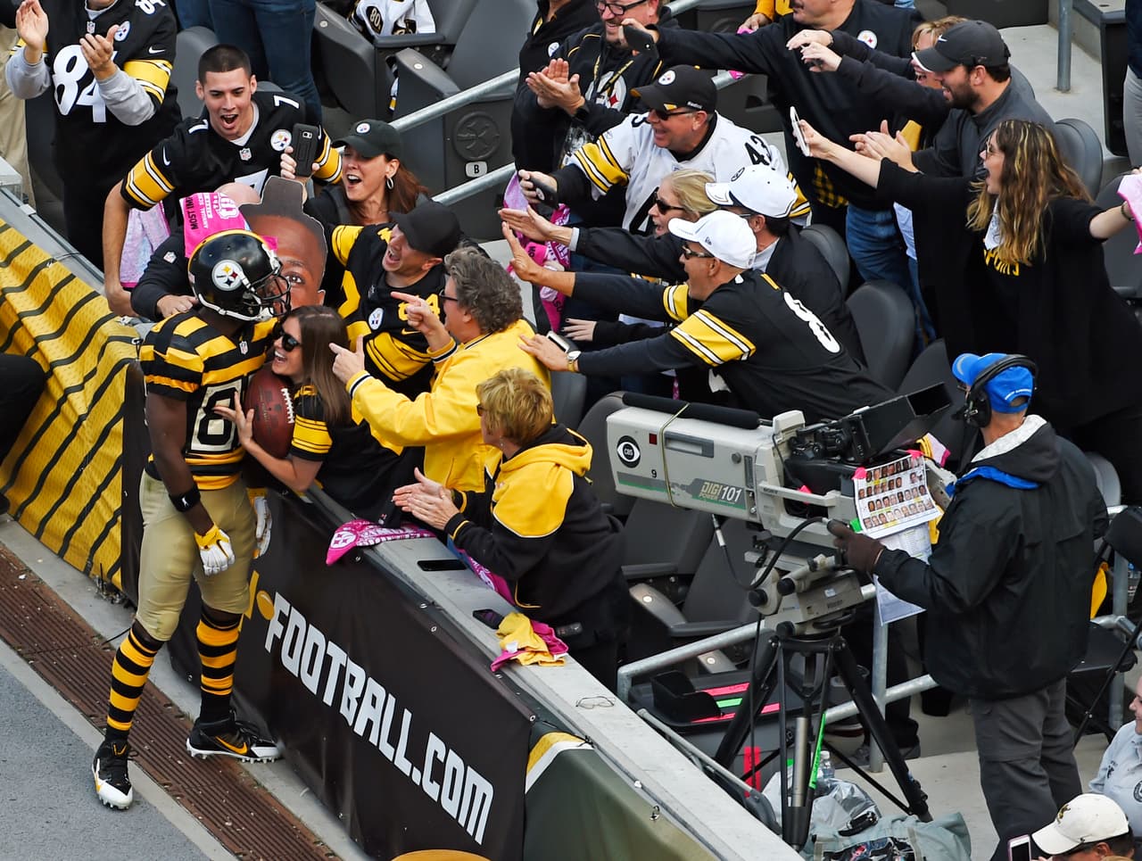 Pittsburgh Steelers wide receiver Antonio Brown (84) celebrates with fans after catching a touchdown pass during the second half of an NFL football game against the New York Jets in Pittsburgh, Sunday, Oct. 9, 2016. (AP Photo/Fred Vuich)