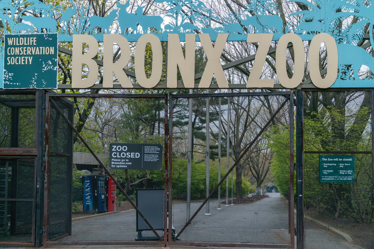 Lo mismo con el
<b>Zoológico de El Bronx.</b> Visita
<a href="https://bronxzoo.com/">BronxZoo.com</a> para más información.