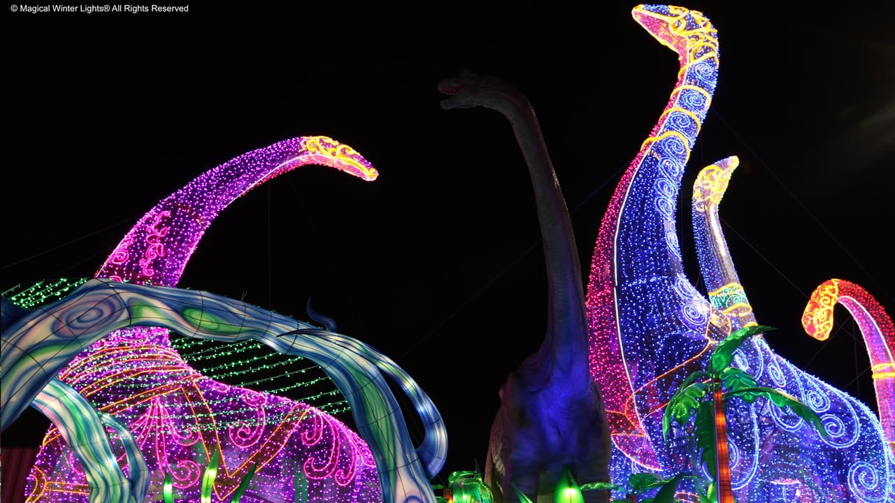 Es el quinto festival que realizan en Houston.