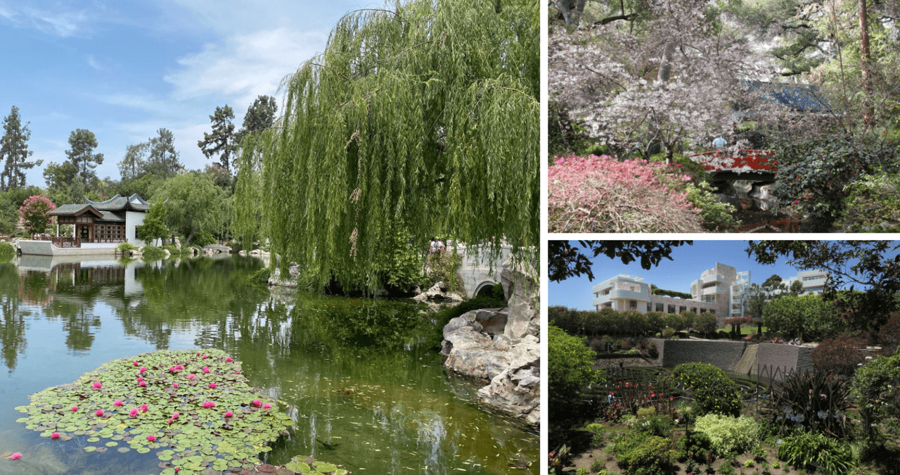 Si ya conoces este hermoso destino, te invitamos a conocer la
<a href="https://www.univision.com/local/los-angeles-kmex/los-angeles-jardines-primavera-foto" target="_blank">lista de nuestros jardines favoritos en Los Ángeles</a>.