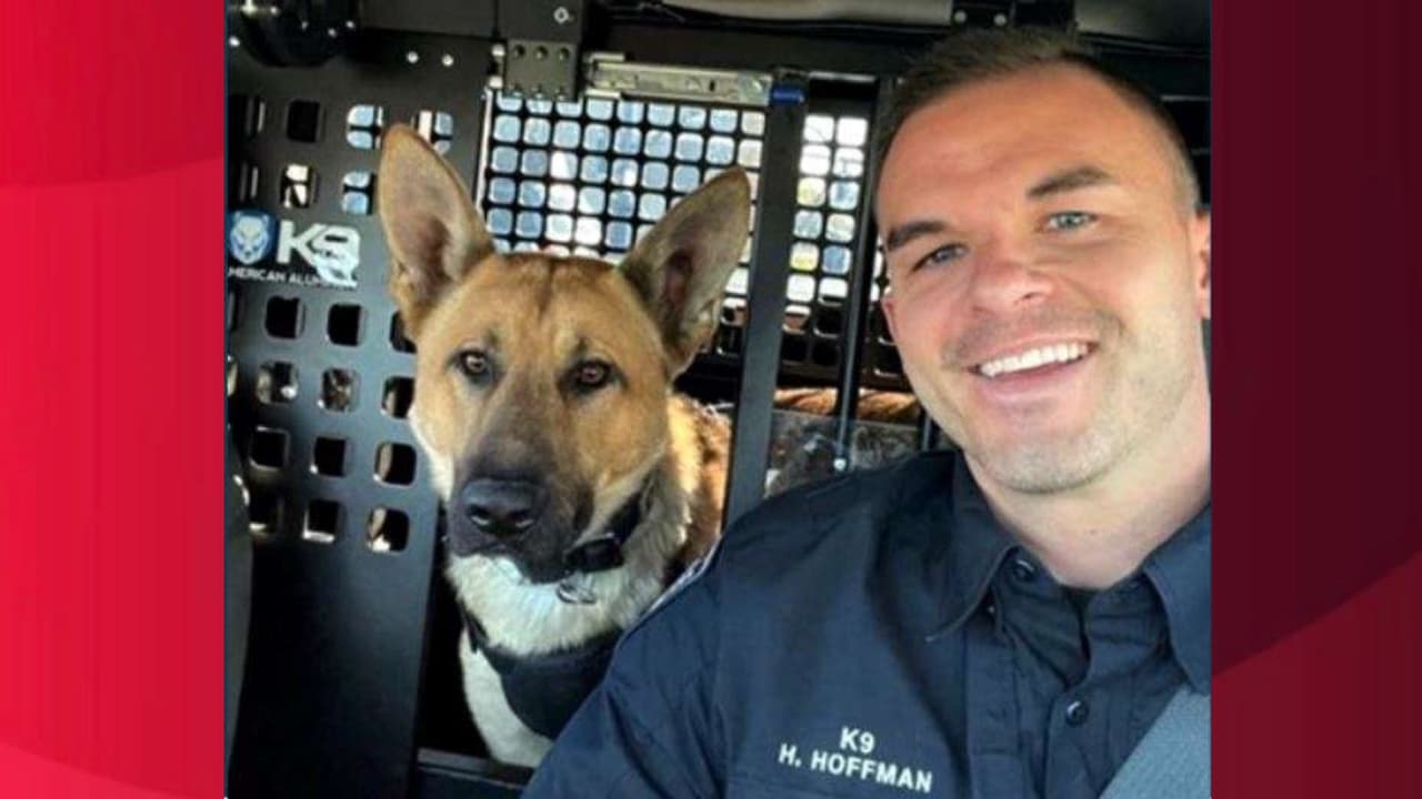 Perros policía de Tyalorsville tienen un agitado cierre de semana laboral